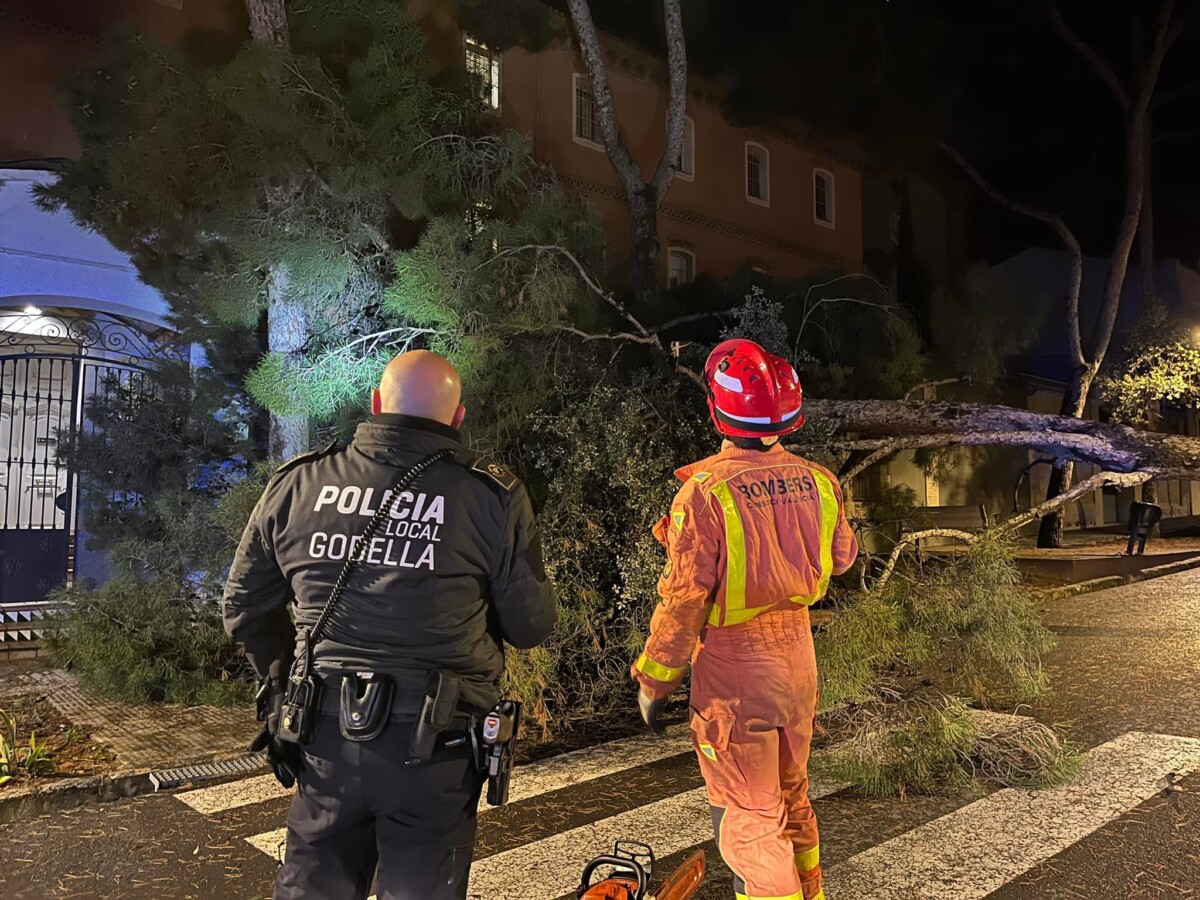 arbol caído en Godella