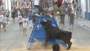 bous al carrer en Paiporta