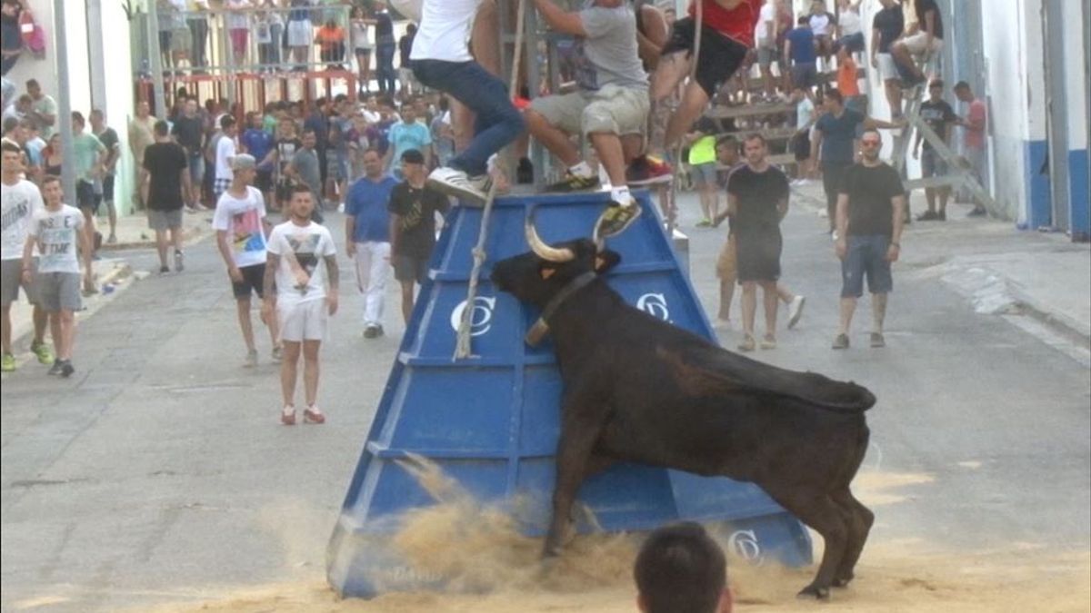 bous al carrer en Paiporta