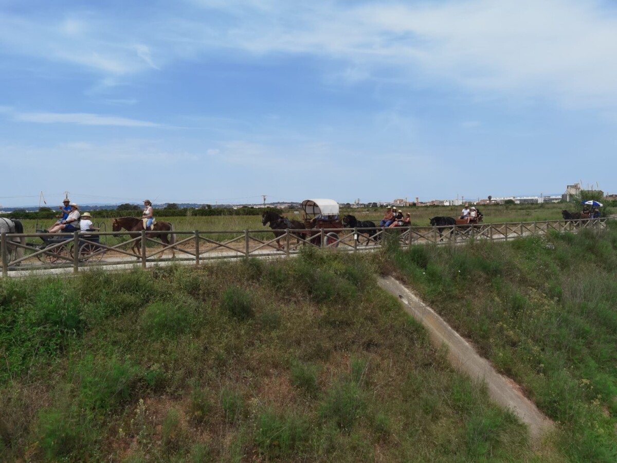 Volta en carro mancomunitat del carraixet