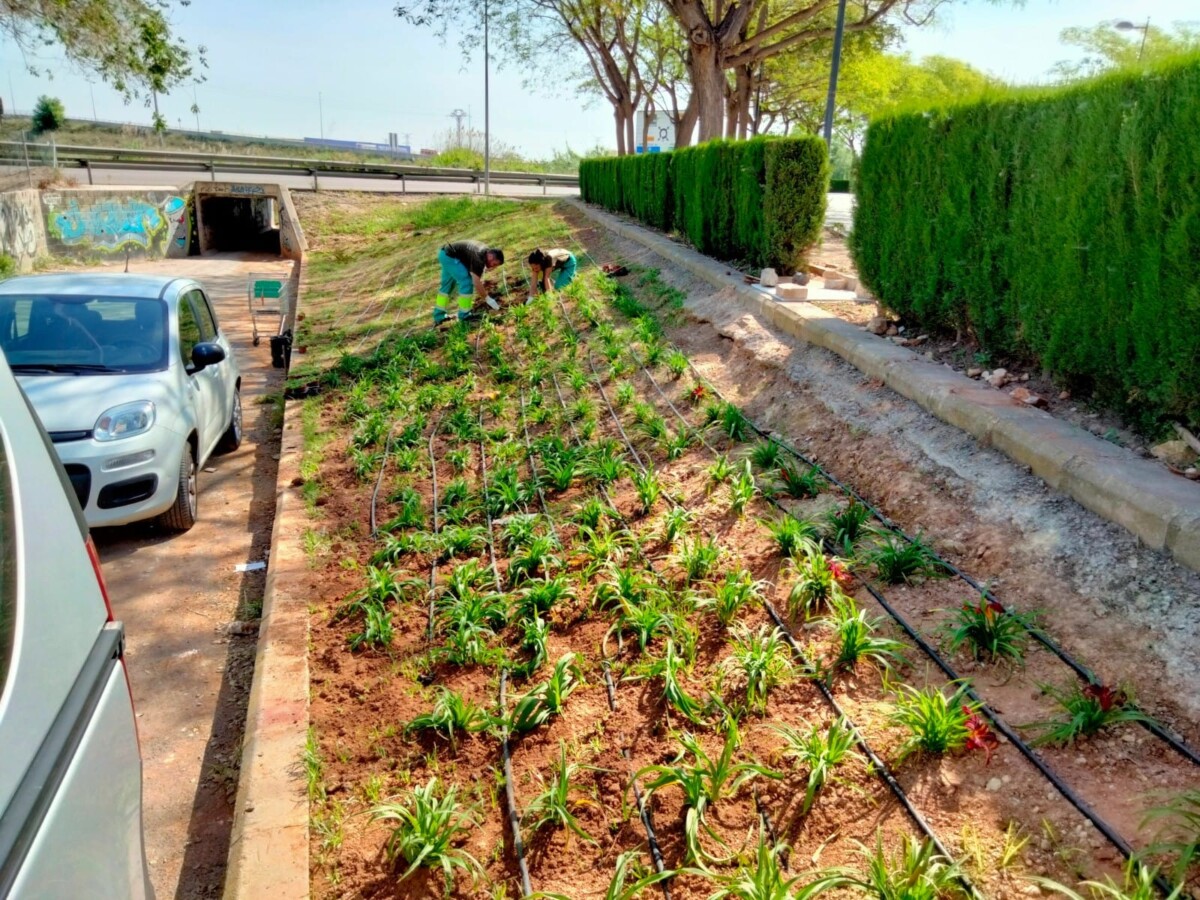alaquas restauracion talud