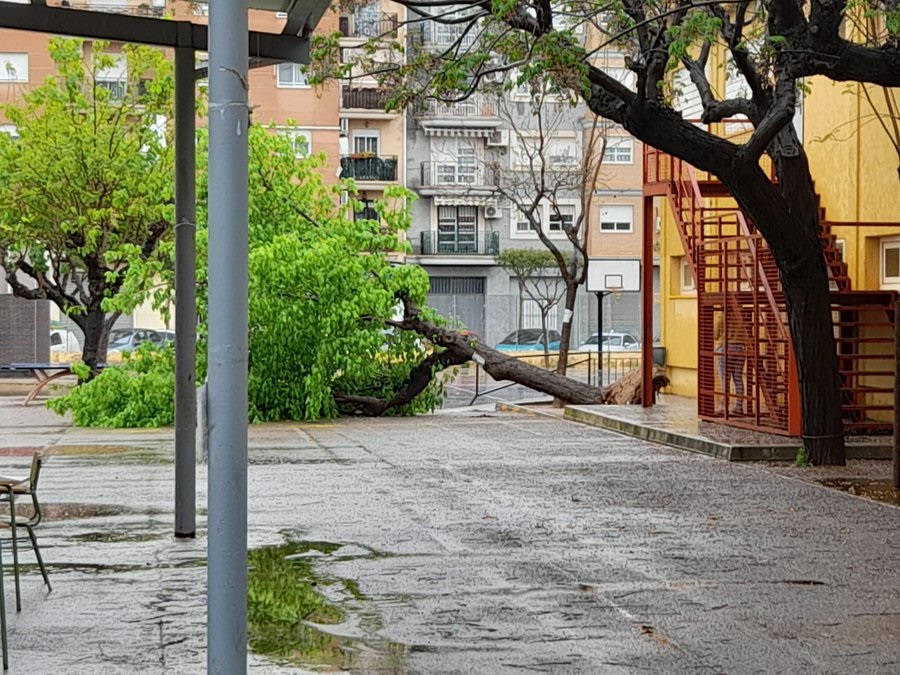 arbol caido lluvias Albal
