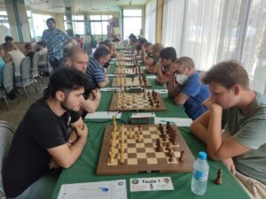 La exposición coincidió con el festival de ajedrez del Albir