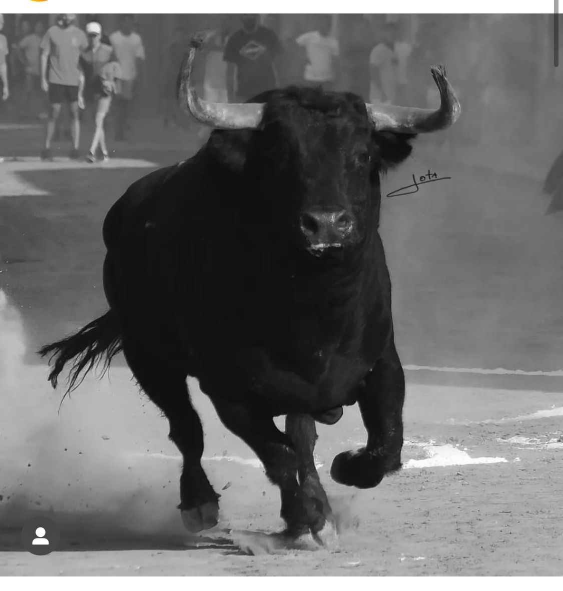 bous al carrer meliana