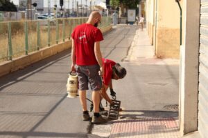 control plagas Almàssera