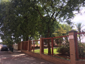 jardin Tavernes Blanques