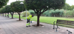 Tractament Mosquits Catarroja