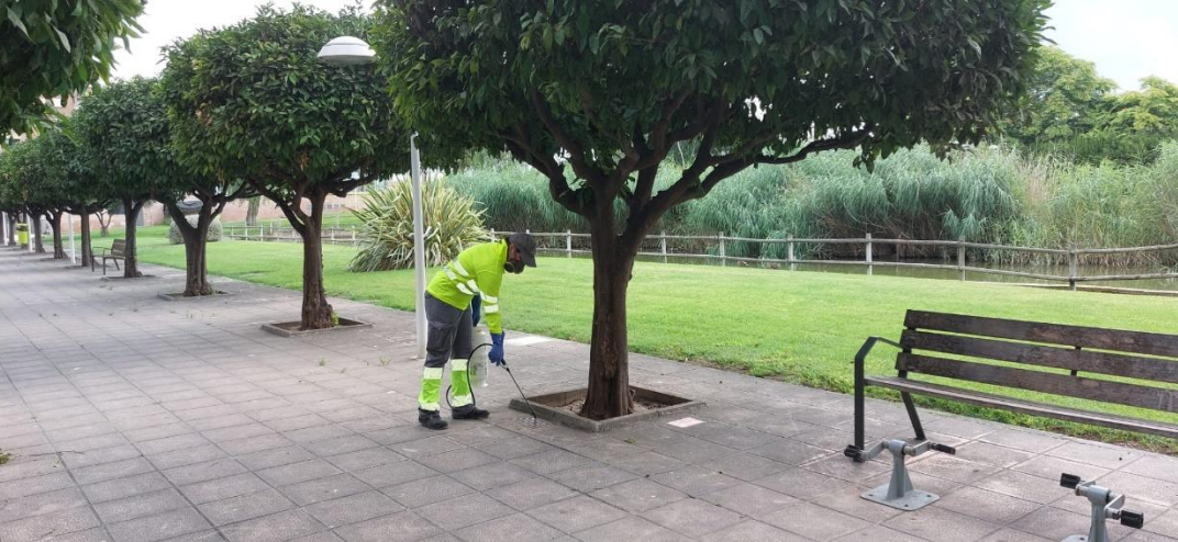 Tractament Mosquits Catarroja