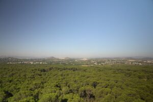 Paraje natural de La Vallesa