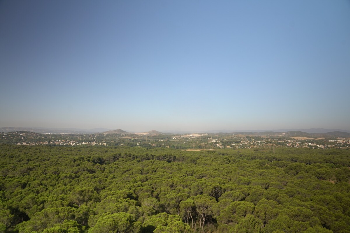 Paraje natural de La Vallesa