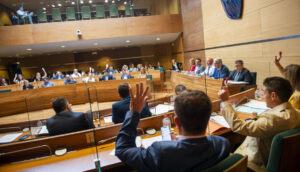 Pleno Diputacion
