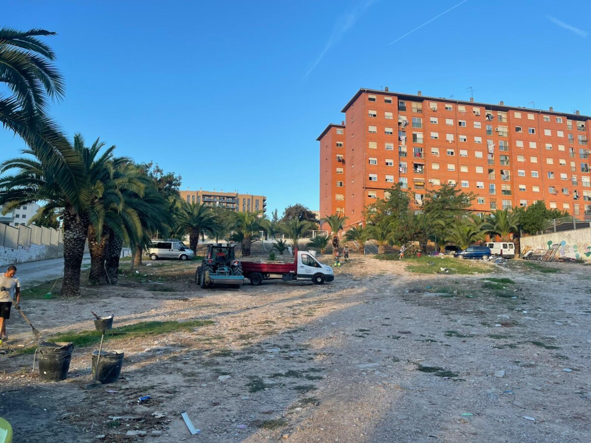 limpieza solares La Coma