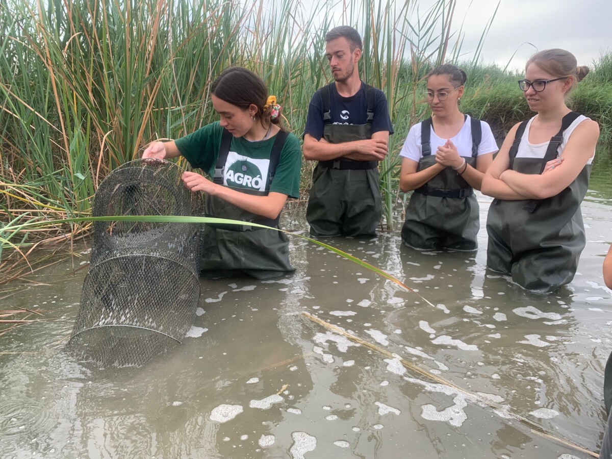 agró marjal rafalell