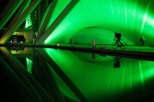 Día Internacional de la Miastenia