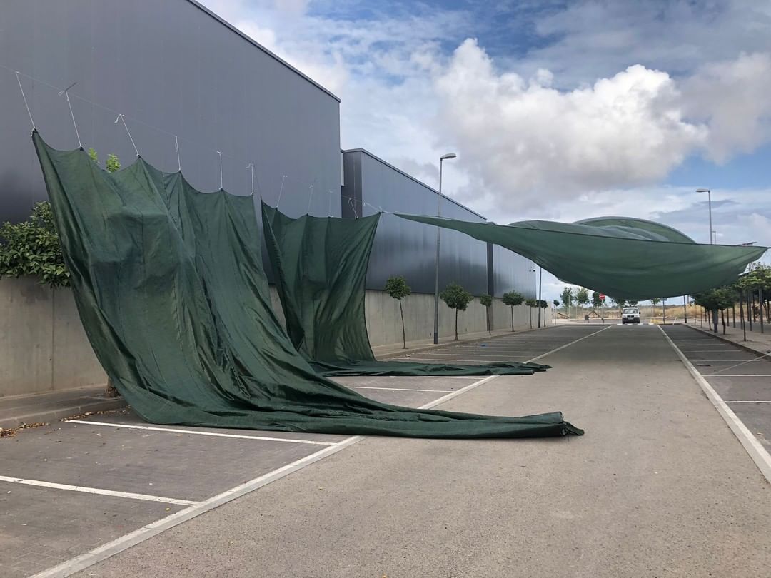 alfara del patriarca envelado