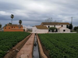 huerta de Alboraya