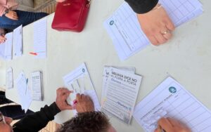 recogida firmas PP Meliana