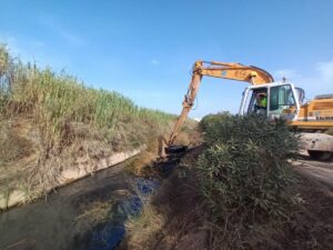La CHJ finaliza los trabajos de eliminación de vegetación y retirada de sedimentos del cauce en el barranco del Poyo