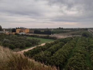 campos de cultivo Pobla Farnals