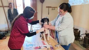 Extracción ADN Canino