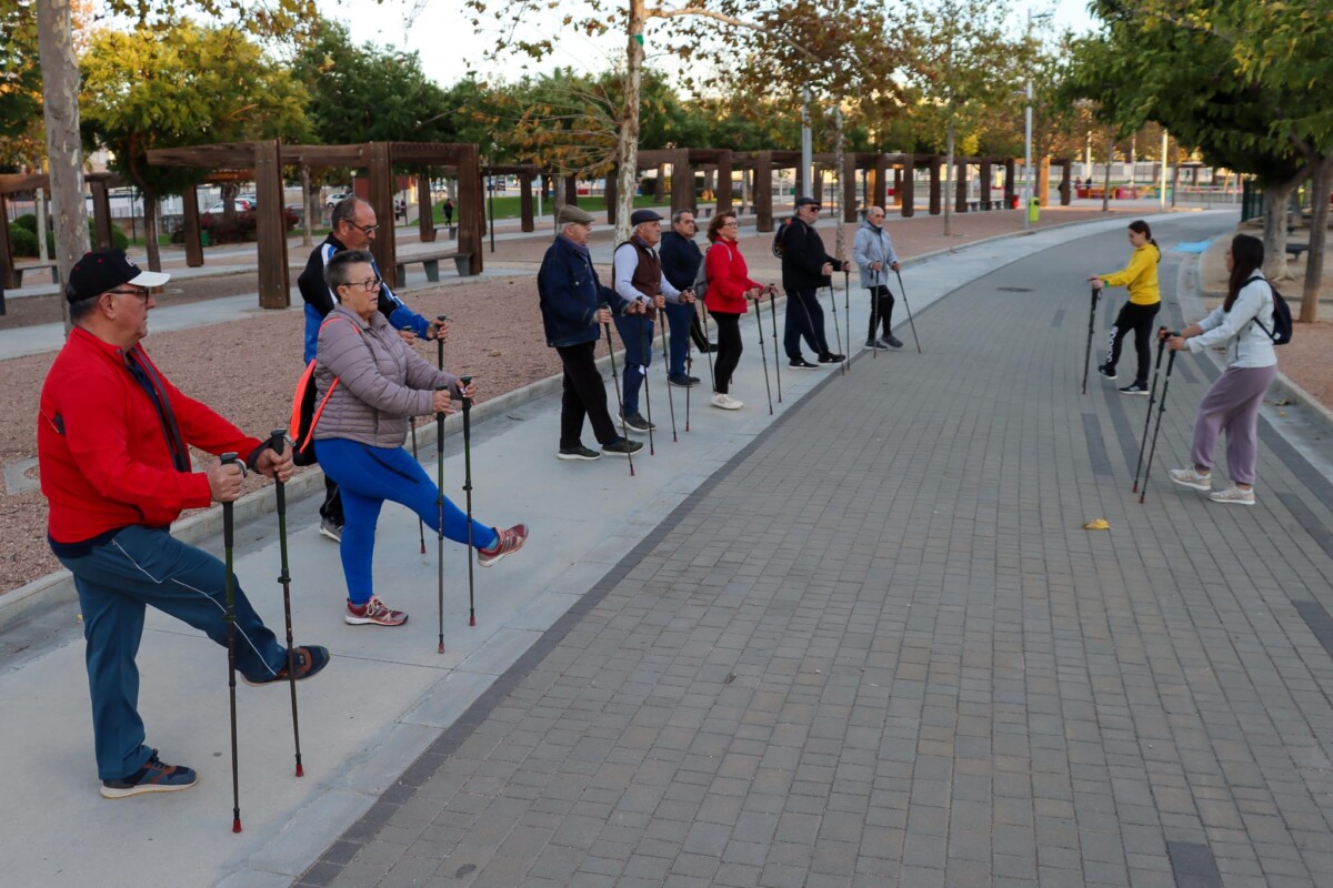 Ruta Saludable Torrent