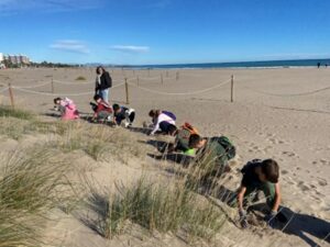 custodia escolar chorlitejo patinegro playas valencia