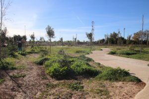 futuro bosque mediterraneo de Alaquàs