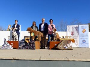 VI Campeonato canino de la Comunitat Valenciana
