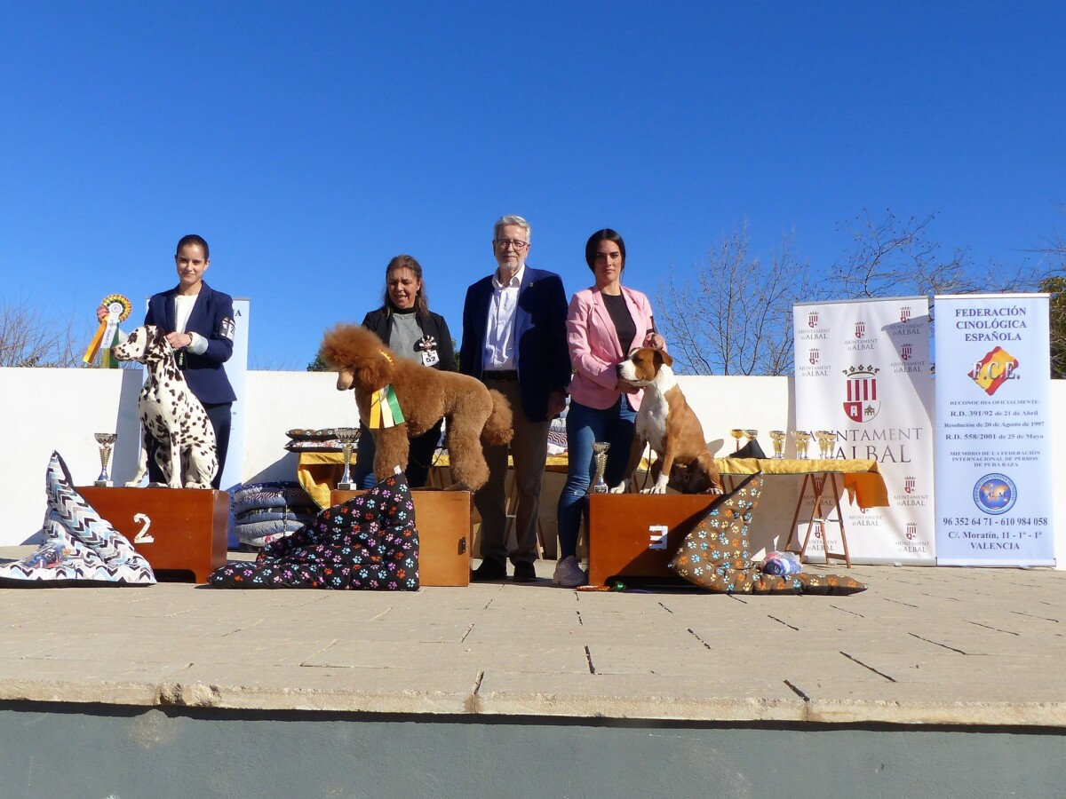 VI Campeonato canino de la Comunitat Valenciana