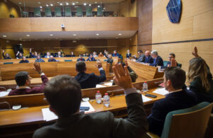 Pleno Diputación