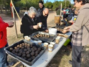 repoblacion de les moles en Paterna