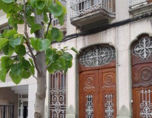 arboles Catarroja