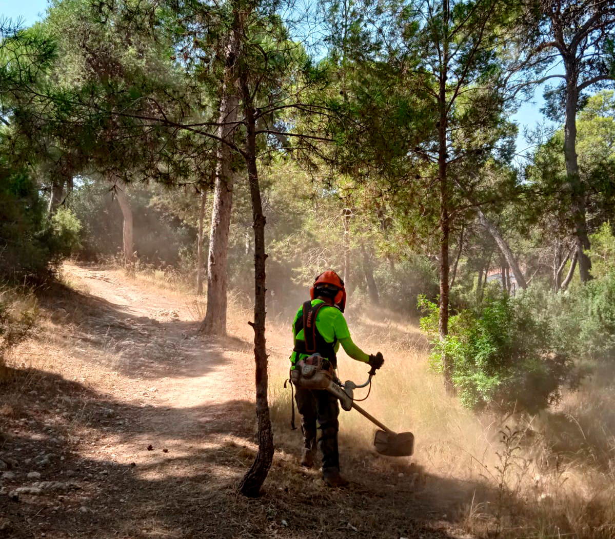 Brigada Forestal Permanente de Torrent