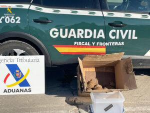 Detenido en el puerto de València con diez tortugas en peligro de extinción