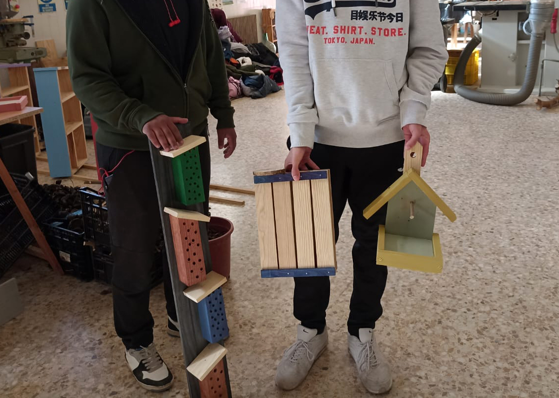 Proyectos Casas Insectos Alfara del Patriarca