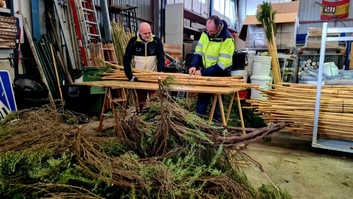 Romeria Sant Blai Albal