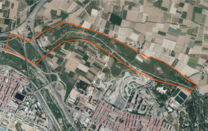Bosque metropolitano_Aìmbito y liìmites municipales.