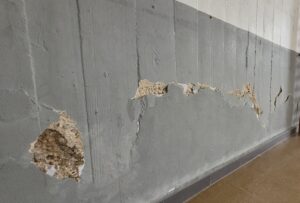 El estado de algunos muros del centro es lamentable