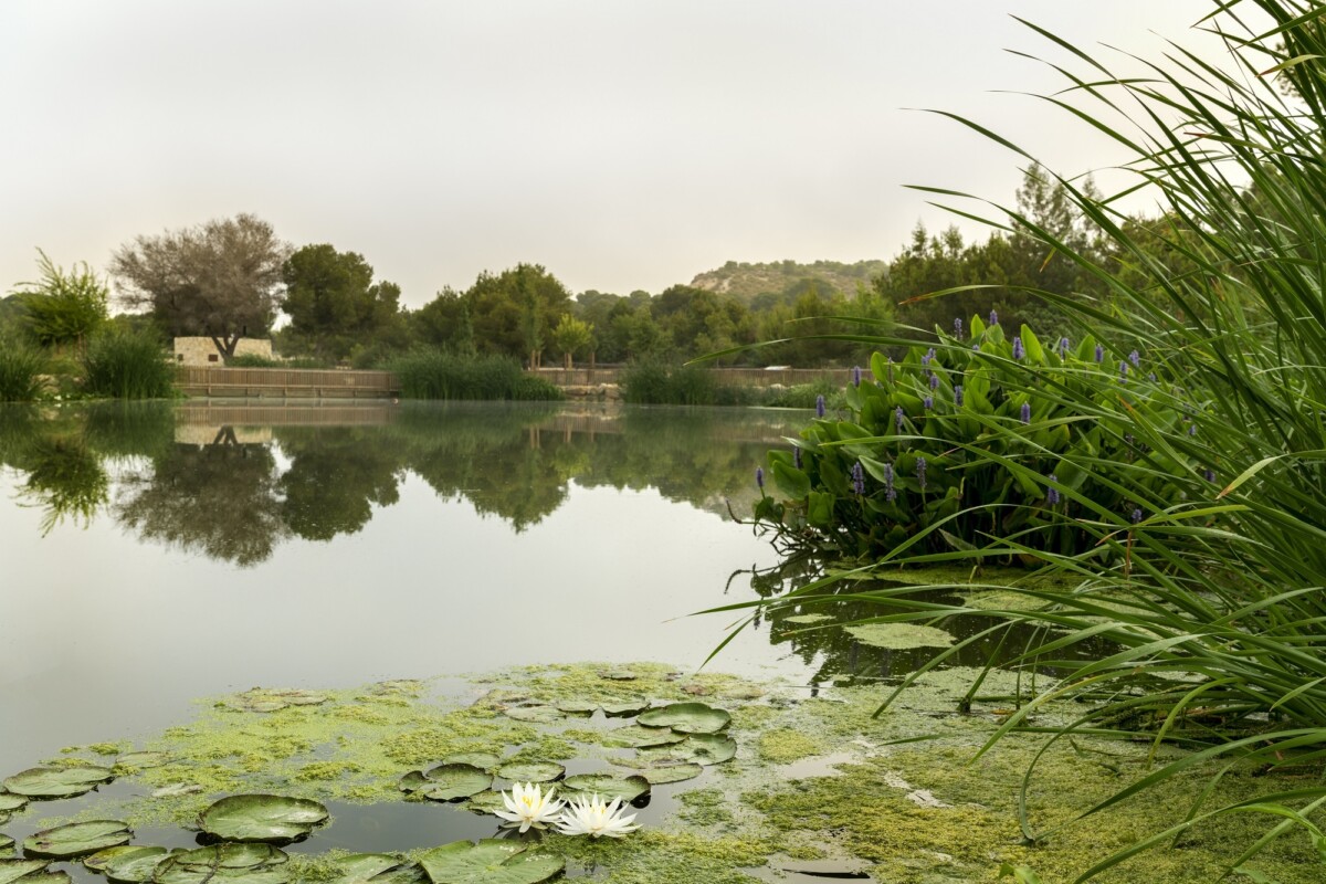 Hidraqua, reutilización de agua para usos agrícolas