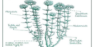 Cartel-Te quiero Verde Natura-Godella