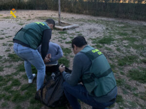 Dos agentes de la Guardia Civil detienen al responsable de una plantación de marihuana en Silla