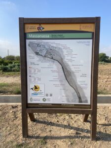 Marjal de Massanassa