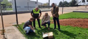 recogida excrementos perros Albal