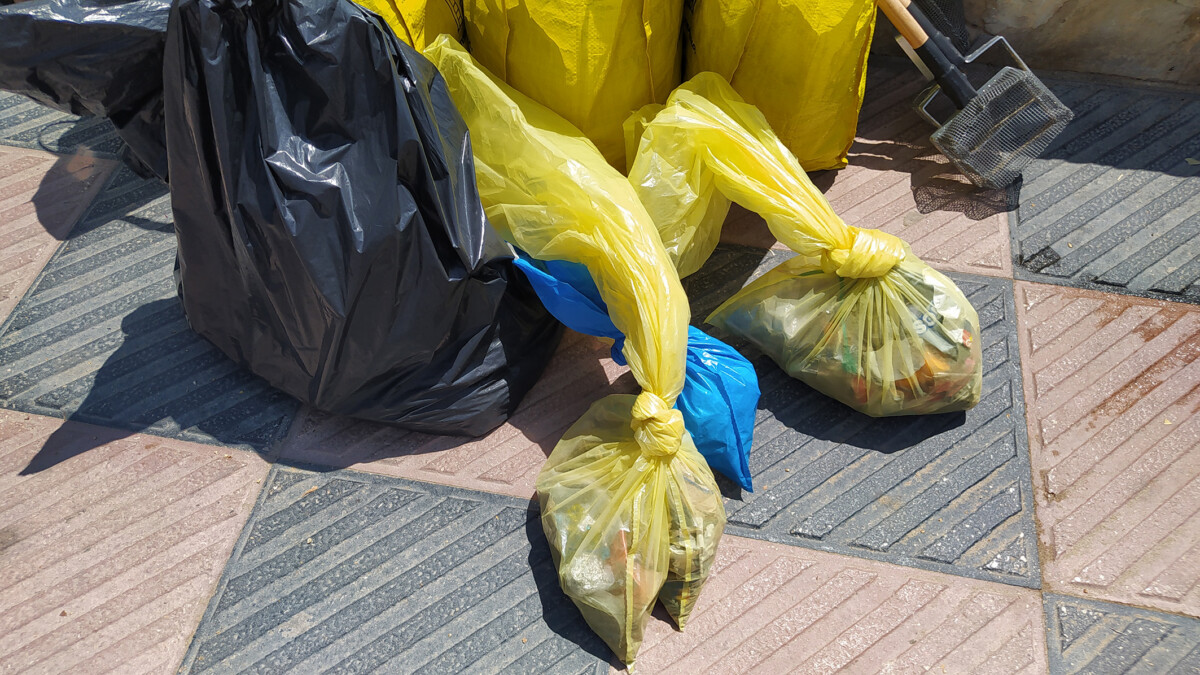 Jóvenes de l'Horta realizan una actividad de limpieza de la playa de Sagunto