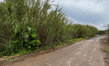barranco Alfara del Patriarca