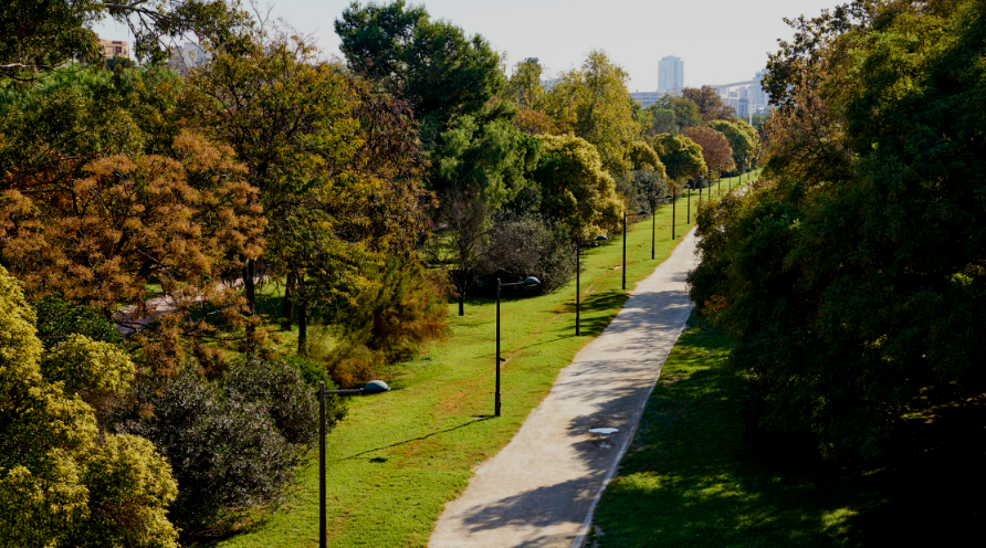 Cauce antiguo del Túria