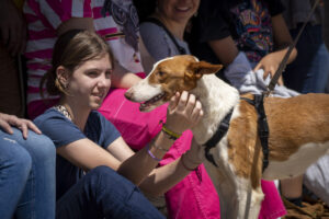 Desfile de perros AUPA-Bioparc
