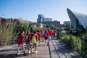 Escuela de Verano en la Ciutat de les Arts i les Ciències