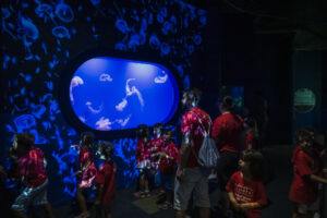 Escuela de Verano en la Ciutat de les Arts i les Ciències