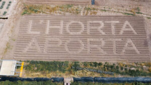 Miradors de lHorta Carraixet